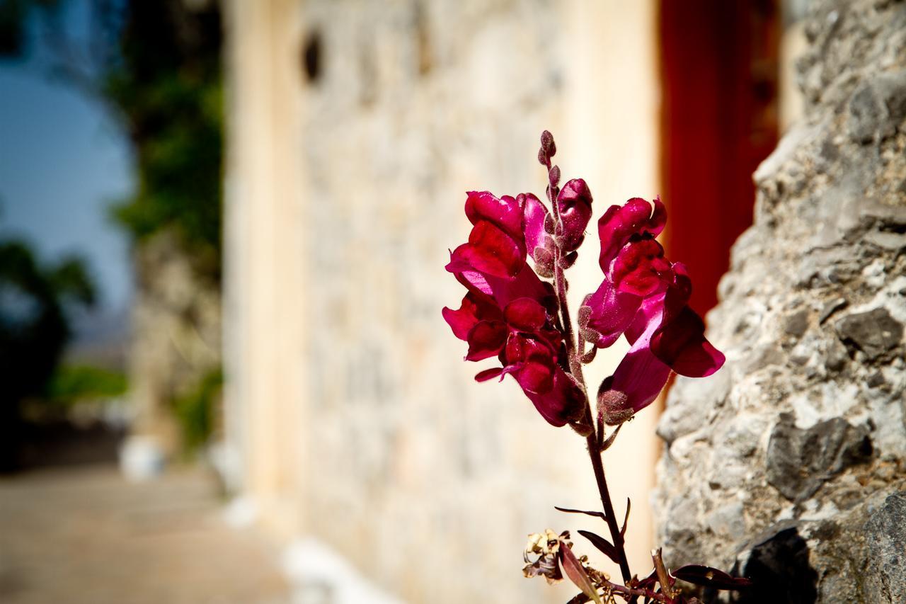 Monastiraki Traditional Guest House Monastirakion  Exterior photo